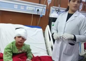 संगड़ाह आवारा कुत्ते ने दो नन्हे बच्चों को नोचा , पीजीआई रेफर