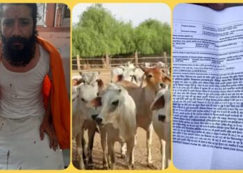 दूधेलेश्वर गौशाला में गौ सेवक पर जानलेवा हमला…आधा दर्जन आरोपियों के खिलाफ मामला दर्ज