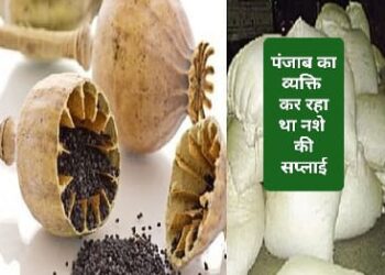 पांवटा साहिब : 31 किलो अफीम डोडे और 105 ग्राम अफीम के साथ  एक गिरफ्तार