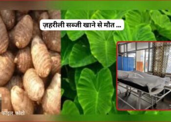 पांवटा साहिब : ज़हरीली सब्जी खाने से यूवती की मौत…पूरा परिवार अस्पताल में भर्ती