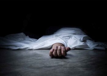 यूपी की महिला ने पांवटा साहिब में की आत्महत्या हरियाणा के पेंटर की ददाहु में गिरने से मौत