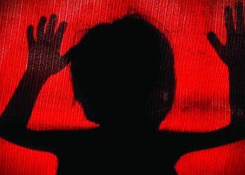 सिरमौर में नाबालिग ने जुड़वा बच्चों को दिया जन्म,  पुलिस ने पोक्सो का मामला दर्ज जांच की शुरू
