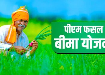 प्रधानमंत्री फसल बीमा योजना के अंतर्गत गेहूं व जों की फसलों का होगा बीमा- कृषि उप निदेशक