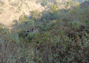 शिलाई में बोलेरो गाड़ी खाई में गिरी, दो की मौत 17 घायल