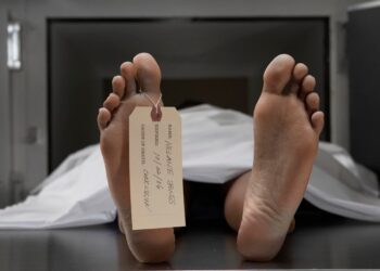 राजगढ़ में ढांक में गिरने से मिस्त्री की मौत