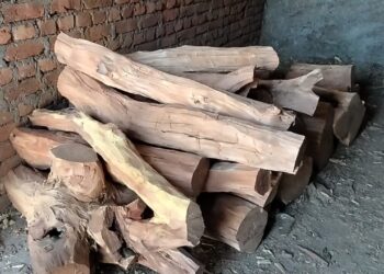 पांवटा साहिब :  वन विभाग ने खैर की लकड़ी का बड़ा जखीरा किया  बरामद