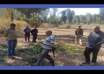 पांवटा साहिब: हाथी के हमले से 45 वर्षीय व्यक्ति की दर्दनाक  मौत