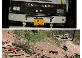 फ्लाइंग स्क्वायड शिमला की टीम ने पच्छाद में पकड़ा अवैध लकड़ी से भरा ट्रक