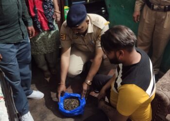 पावंटा साहिब : रामपूरघाट में पुलिस ने 831 ग्राम गांजा किया बरामद