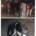 पावटा साहिब : बेकाबू ट्रक ने मारी टक्कर एक की मौके पर मौत , एक गंभीर हालत में रेफर