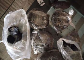 पावटा साहिब के नशा तस्कर हरियाणा में  दो किलो 563 ग्राम अफीम के साथ गिरफ्तार