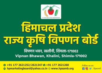 राज्य कृषि विपणन बोर्ड ने डिजिटल टेंडर में अनियमितताओं को नकारा