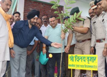 रेणुका जी विधानसभा क्षेत्र में पांच हजार पौधे किए जाएँगे रोपित- विनय कुमार  चुलडिया धार में पौधा रोपण करने के उपरांत सुनी जनसमस्याएं