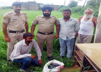पांवटा साहिब के नवादा में घर और खेत से नशीले कैप्सूल की खेप बरामद, आरोपी गिरफ्तार