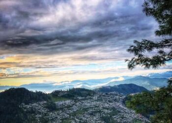 हिमाचल प्रदेश में फलों का उत्पादन 6 लाख मीट्रिक टन के पार, प्रदेश की अर्थव्यवस्था में बागवानी क्षेत्र का 4476 करोड़ रुपये का योगदान