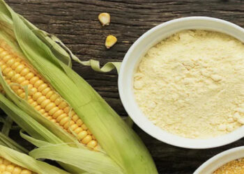 प्राकृतिक खेती से तैयार मक्की के आटे को ‘हिमभोग’ ब्रांड से बाजार में उतारेंगे: मुख्यमंत्री