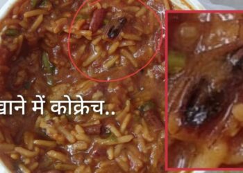 पांवटा साहिब : होटल रेस्खाटोरेंट  में परोसे जा रहे कॉकरोच , ढ़ाबों में रसोईघरों के बुरे हाल