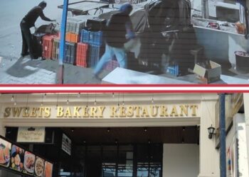 पांवटा साहिब : बद्रीपुर में  चोरी की तीन वारदातो से दहशत, बदमाशों के हौंसले बुलंद