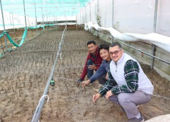 कृषि, बागवानी, मूर्गी पालन, मत्स्य पालन कर 5 करोड की वार्षिक आय की अर्जित-आशीष