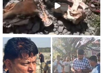 पांवटा साहिब उत्तराखंड सीमा पर मिले गोवंश के अवशेष , हिंदू संगठनों ने किया प्रदर्शन