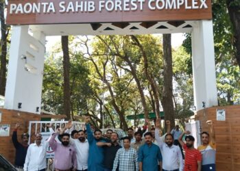 पांवटा साहिब : वन विभाग की मिलीभगत से हो रहा अवैध कटान , डीएफओ ऑफिस के बाहर वन विभाग के खिलाफ प्रदर्शन