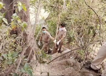 पांवटा साहिब :  यमुना किनारे पेड़ से लटका मिला शव ,कई दिन से सड़ी-गली हालत में पड़ा था शव