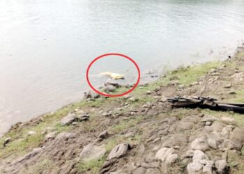 घर से लापता हुई बेटी का डैम में मिला शव, परिजन 2 दिन से कर रहे थे तलाश