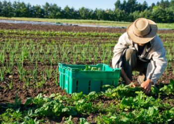 केन्द्रीय गृह एवं सहकारिता मंत्री ने प्राकृतिक खेती को बढ़ावा देने के लिए हिमाचल की सराहना की प्राकृतिक खेती उत्पादों पर एमएसपी लागू करने वाला पहला राज्य बना हिमाचल