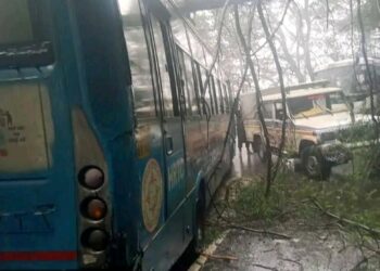 चलती HRTC बस पर गिरा भारी भरकम पेड़, लगा लंबा जाम
