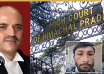 पाकिस्तान जिंदाबाद कहना राजद्रोह नहीं… हिमाचल हाई कोर्ट ने पांवटा साहिब के  सुलेमान को दी जमानत