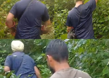 विद्युत बोर्ड मंडल पांवटा साहिब जी के उपमडल बद्रीपुर मैं आउटसोर्स कर्मचारी जगदीप सिंह के कार्य को सलाम। अंकुर शर्मा।