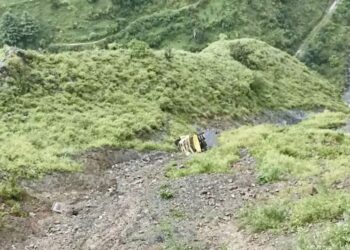 बालीचौकी में 300 मीटर गहरी खाई में गिरा टिप्पर, PWD चालक की मौत व मल्टी टास्क वर्कर घायल