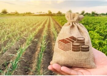 बड़ी सौगात: पीएम मोदी ने जारी की किसान सम्मान निधि योजना की 20वीं किस्त, फटाफट चेक करें