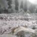 Himachal: लाहौल-स्पीति की मयाड़ घाटी में बाढ़ ने मचाई तबाही, 3 पुल बहे…खेतों में घुसा मलबा