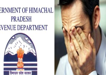 हिमाचल में अनोखा मामला! राजस्व रिकॉर्ड से गायब हुई व्यक्ति की जमीन, बैंक का लोन अब भी चल रहा