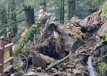 शिमला में भूस्खलन, मंत्री-विधायकों के आवास करवाए खाली, 40 लोग सुरक्षित स्थानों पर शिफ्ट