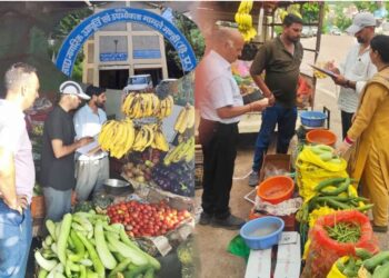 हिमाचल में खाद्य आपूर्ति विभाग की बड़ी कार्रवाई: 600 KG से अधिक खराब सब्जियां जब्त, कई दुकानदारों पर लगा जुर्माना
