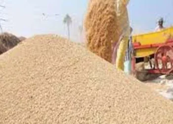 धौला कुआं तथा कृषि उपज विपणन समिति पांवटा साहिब में 2389 रुपए के न्यूनतम समर्थन मूल्य पर की जाएगी धान की खरीद-जिला खाद्य नियंत्रक