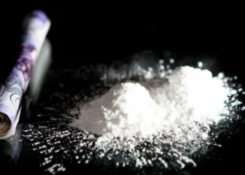 CIA टीम ने गुप्त सूचना पर गाड़ी से पकड़ा 30.57 ग्राम चिट्टा, धर्मशाला के 3 युवक गिरफ्तार