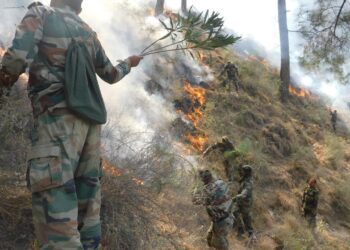 पर्यावरण संरक्षण में ईको टास्क फोर्स की भूमिका सराहनीय