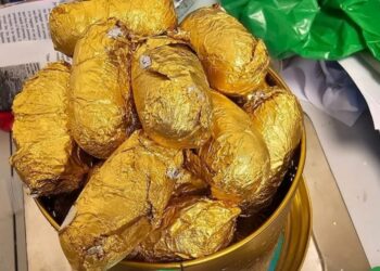 चेन्नई एयरपोर्ट पर 60 करोड़ की कोकीन बरामद, हिमाचल-उत्तराखंड से दो तस्कर गिरफ्तार