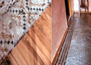 महिला के घर में फूटी जलधारा, दोमंजिला मकान बना ”पानी का महल”