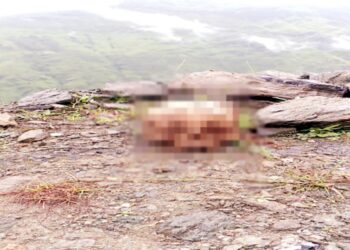 हैलीपैड के पास इंसानी खोपड़ी मिलने से मचा हड़कंप, पुलिस ने जांच के लिए फाेरैंसिक लैब भेजा