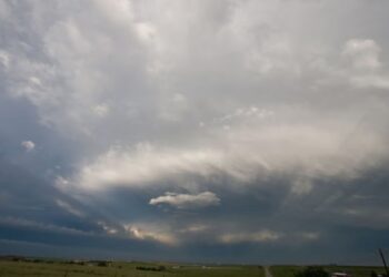 आज से धीमा पड़ेगा मानसून, 12 तक कोई अलर्ट नहीं