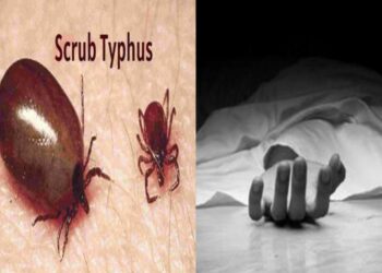 स्क्रब टायफस को लेकर स्वास्थ्य केंद्रों में अलर्ट जारी, 2 की मौ*त