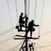 बिजली बोर्ड आऊटसोर्स संघ ने उठाया सवाल, बिजली मित्र बनकर 6 हजार रुपए से क्या घर चला पाएंगे युवा