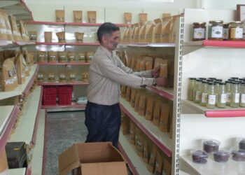 प्राकृतिक खेती से बदली किसान की तकदीर, सरवन कुमार बने आत्मनिर्भरता की मिसाल