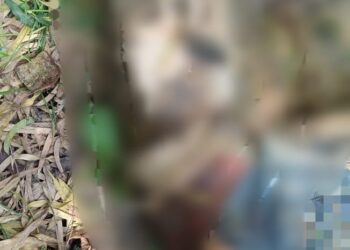 पावटा साहिब :  लावारिस शव बरामद , दुर्घटना आत्महत्या या हत्या पुलिस जांच में जुटी