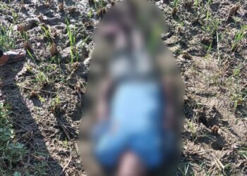 पांवटा साहिब : व्यक्ति का शव बरामद पुलिस जांच में जुटी