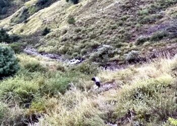 भीषण सड़क हादसा: 300 फुट गहरी खाई में गिरा वाहन, 2 युवकों की मौके पर मौत, एक गंभीर घायल